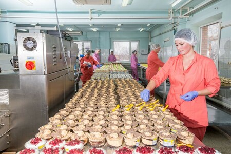Кондитерское производство в собственности с контрактами 2
