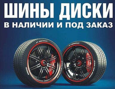 Интернет магазин шин и дисков с чистой прибылью 410 000 рублей  0