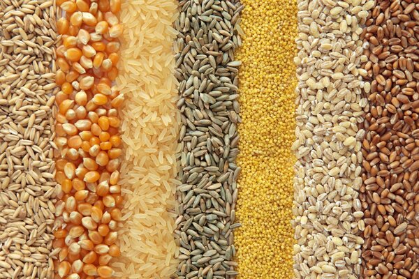 Производство продуктов здорового питания