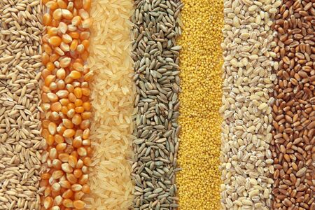 Производство продуктов здорового питания 1