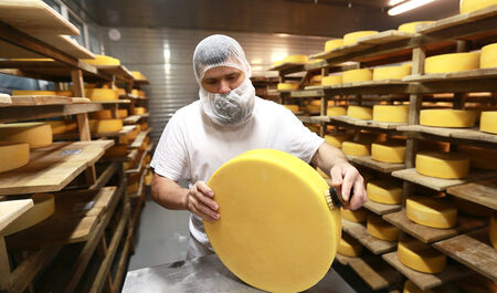 Производство сыра и молочных продуктов в ЮАО  1