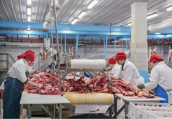 Мясоперерабатывающее производство в Мос области