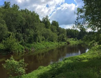 Загородная резиденция 0