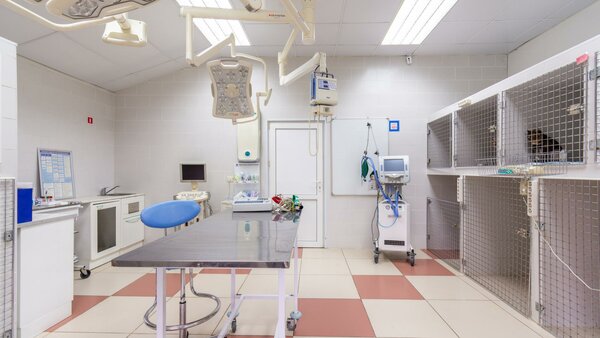 Продажа ветеринарной клиники на севере Москвы