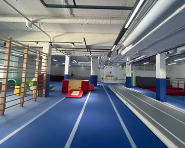 Детский гимнастический центр / 220 кв.м. 0