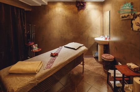 SPA-салон в ЦАО с прибылью от  500 000р 3